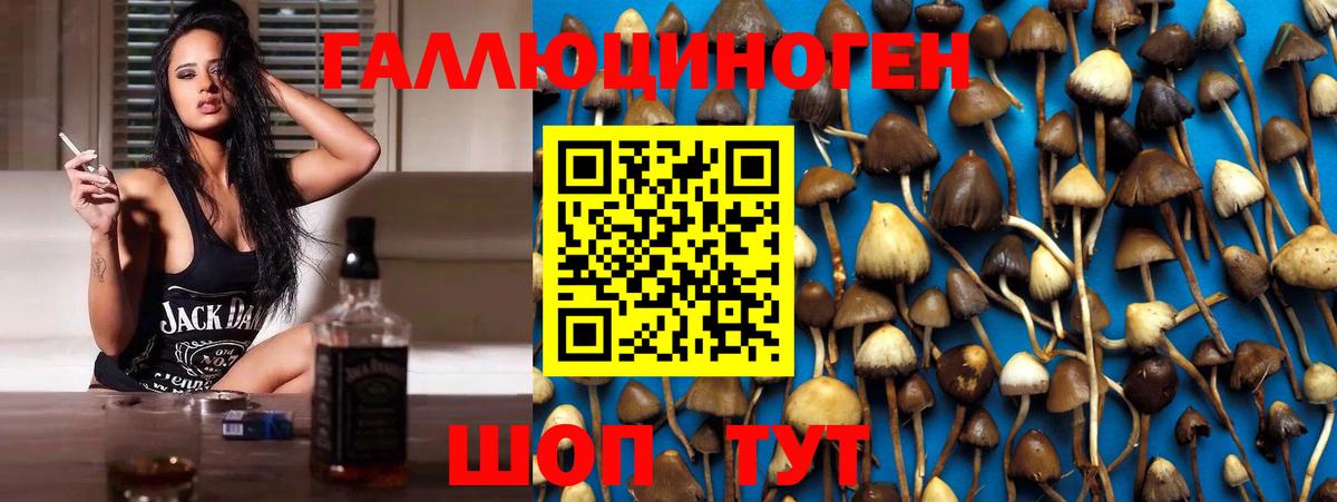 Галлюциногенные грибы прущие грибы  Вход с VPN  Великий Новгород  Псилоцибиновые грибы Psilocybine cubensis 