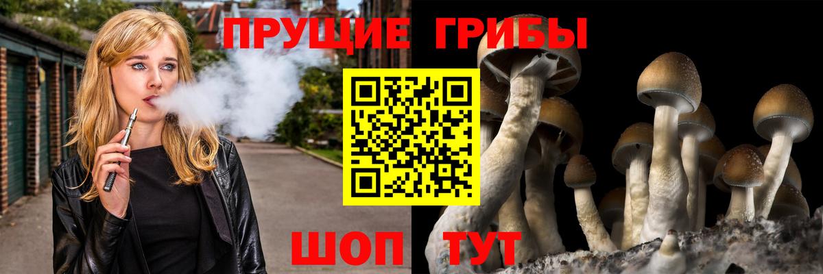 Галлюциногенные грибы Psilocybine cubensis Великий Новгород